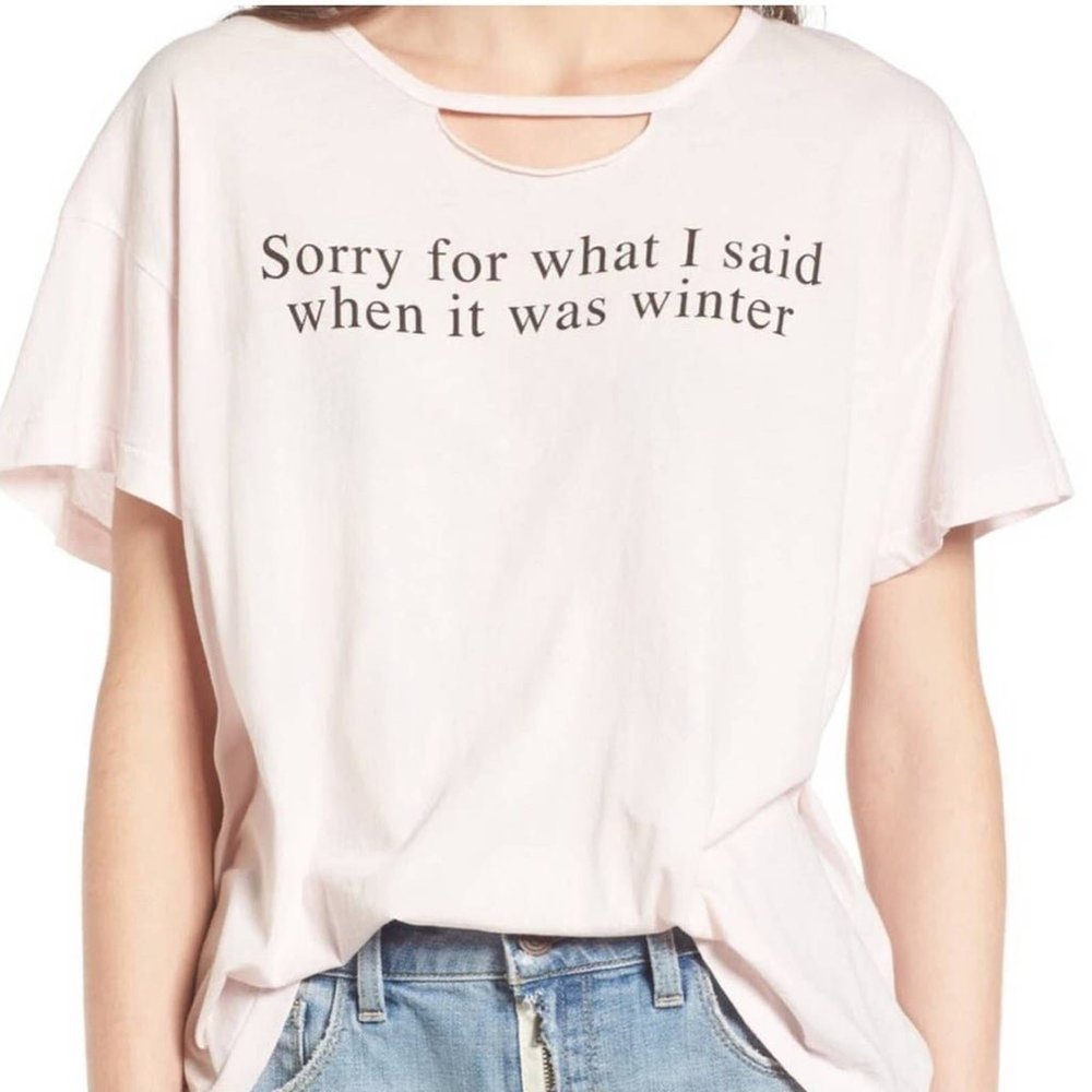 WILDFOX Sorry for What I Said When It Was Winter Tee Blush Pink